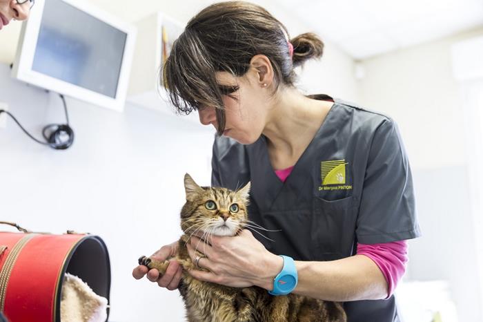 Consultation en médecine générale